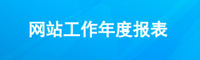 网站年度报表
